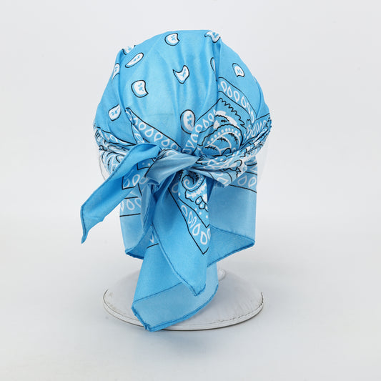 Brimknot  Black/Blue